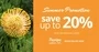 Summer Accommodation Promo 2021 2022